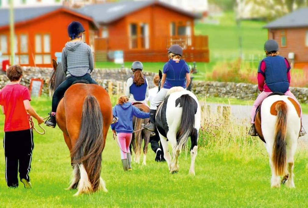 The Hidden Gem In Galloway Forrest Holiday home *
