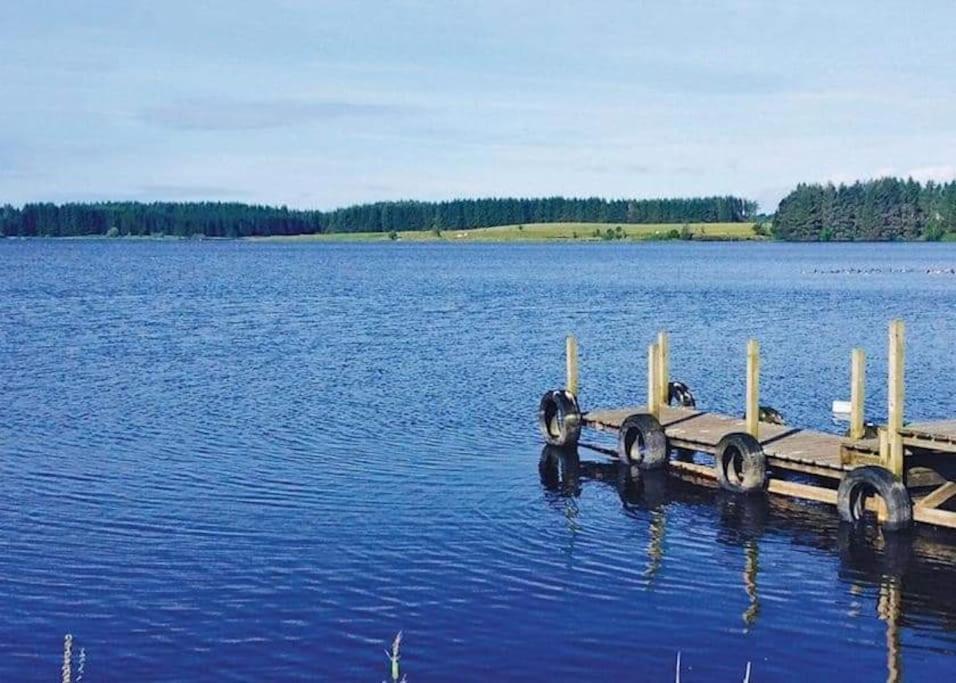 The Hidden Gem In Galloway Forrest Holiday home