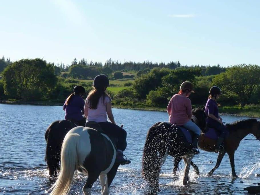 The Hidden Gem In Galloway Forrest Balminnoch