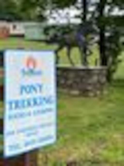 Holiday home The Hidden Gem In Galloway Forrest *